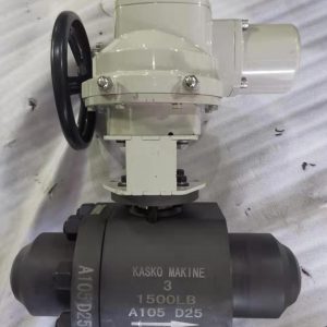 Kasko Mak Branded Valves